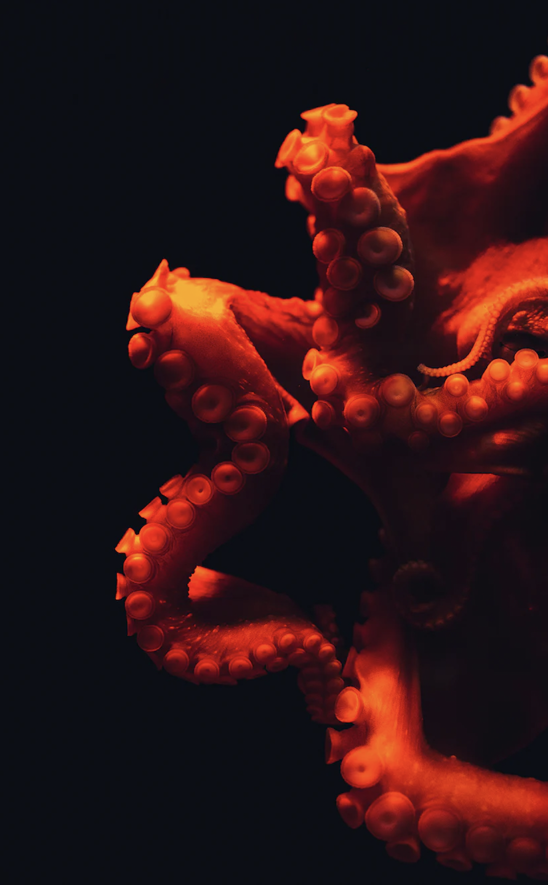 Uni·es contre la précarité!